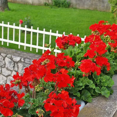 Dada-2 By Interhome Omišalj