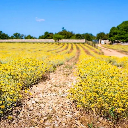 公寓 Dada-2 By Interhome *