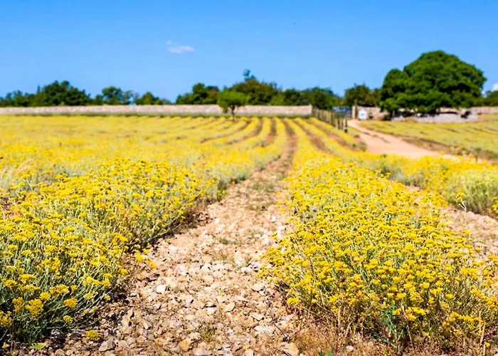 Апартаменты Dada-2 By Interhome *