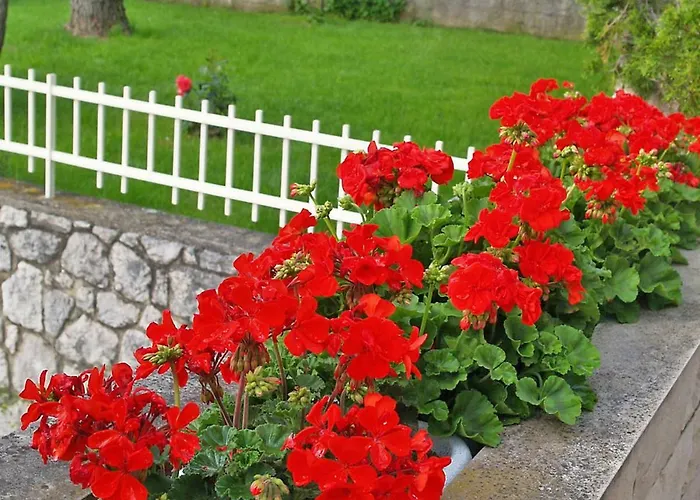 Dada-2 By Interhome Омишаль